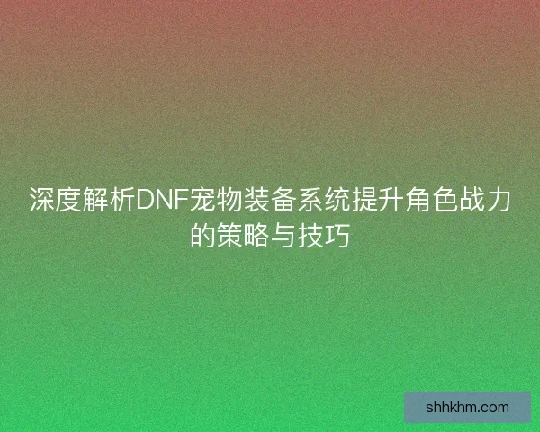 深度解析DNF宠物装备系统提升角色战力的策略与技巧